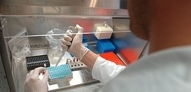Nem az A/H1N1-ből készült az oltás? Nem az A/H1N1-ből készült az oltás?