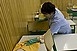 Újabb két hazai haláleset a H1N1 miatt Újabb két hazai haláleset a H1N1 miatt
