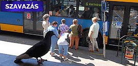 Drágább lesz a pécsi buszozás is Drágább lesz a pécsi buszozás is