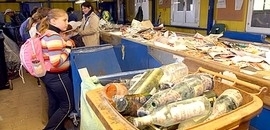 612 millióval lógnak a Biokomnak 612 millióval lógnak a Biokomnak