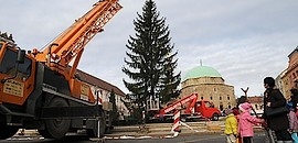 Késik a Mindenki Karácsonyfája