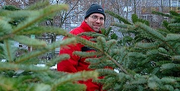 Karácsonyfa-körkép: érdemes alkudni Karácsonyfa-körkép: érdemes alkudni