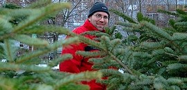 Karácsonyfa-körkép: érdemes alkudni Karácsonyfa-körkép: érdemes alkudni