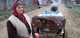 Fejezetek a magyar őstörténetből Fejezetek a magyar őstörténetből