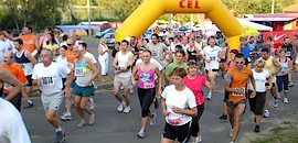 2010-ben a csúcson kezd a Melitta SE