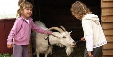 Húsvéti állatsimogató a Zoo-ban Húsvéti állatsimogató a Zoo-ban