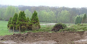 Vandál földmunkák az arborétumban Vandál földmunkák az arborétumban