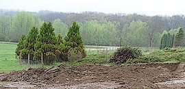 Vandál földmunkák az arborétumban Vandál földmunkák az arborétumban