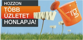 A pécsi cégek lehetőségei a neten A pécsi cégek lehetőségei a neten