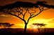 Kezdődik az Afrika Hét 2010 rendezvénysorozat Kezdődik az Afrika Hét 2010 rendezvénysorozat
