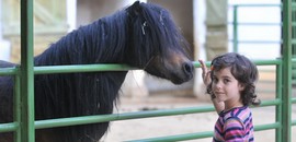 Gyermeknapi kavalkád