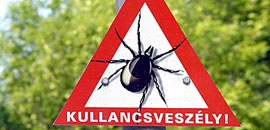 Munkában a kullancsok Munkában a kullancsok