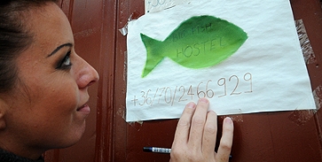 Jó nyarat zártak a pécsi hostelek Jó nyarat zártak a pécsi hostelek