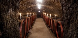 Nagymama, férfibiciklivel