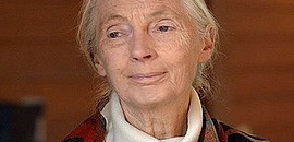 Ismét Pécsre jön Jane Goodall