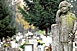 Gyertyák, virágok: hol, mennyiért? Gyertyák, virágok: hol, mennyiért?