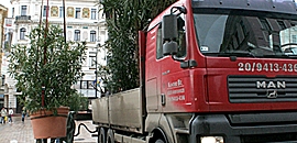 Telelőre ment a zöldövezet Telelőre ment a zöldövezet