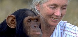 Jane Goodall a Tudásközpontban Jane Goodall a Tudásközpontban