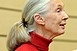 Óriási sikere volt Jane Goodallnak Óriási sikere volt Jane Goodallnak