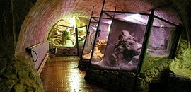 Az éjszaka állatai a Terráriumban Az éjszaka állatai a Terráriumban