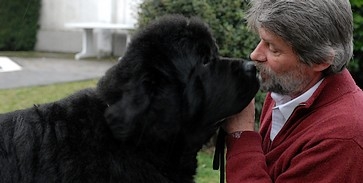 A pécsi Carlos a világ legszebbje A pécsi Carlos a világ legszebbje