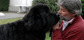 A pécsi Carlos a világ legszebbje A pécsi Carlos a világ legszebbje