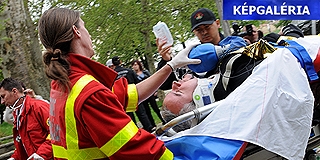 Megalakult a Mecsek Mentőcsoport - megvolt az első bemutató is Megalakult a Mecsek Mentőcsoport - megvolt az első bemutató is