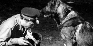 Baranyai és budapesti rendőrök képviselik hazánkat a kutyavezetői versenyen Baranyai és budapesti rendőrök képviselik hazánkat a kutyavezetői versenyen