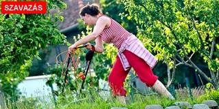 Vasárnap már tilos lesz füvet nyírni Pécsett Vasárnap már tilos lesz füvet nyírni Pécsett