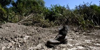 Arkan jobbkeze tagadja, hogy a csepeli mészáros közülük való lenne Arkan jobbkeze tagadja, hogy a csepeli mészáros közülük való lenne