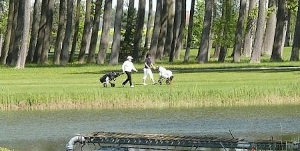 Büki golfpálya és golfhotel: köszönik szépen, megvannak Büki golfpálya és golfhotel: köszönik szépen, megvannak
