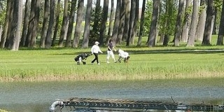 Büki golfpálya és golfhotel: köszönik szépen, megvannak Büki golfpálya és golfhotel: köszönik szépen, megvannak