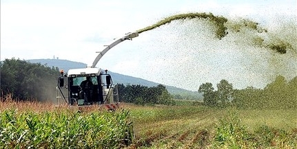 Gráf is érintett lehet a baranyai GMO-botrányban Gráf is érintett lehet a baranyai GMO-botrányban