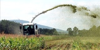 Gráf is érintett lehet a baranyai GMO-botrányban Gráf is érintett lehet a baranyai GMO-botrányban
