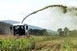Gráf is érintett lehet a baranyai GMO-botrányban Gráf is érintett lehet a baranyai GMO-botrányban
