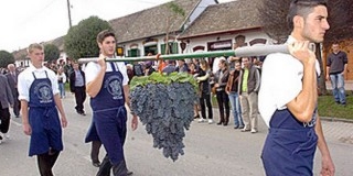 Teltház a Villányi Vörösbor Fesztiválon Teltház a Villányi Vörösbor Fesztiválon
