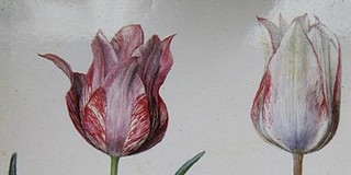 TuliPécs: vasárnap háromkor, de olvassák el Simont eredetiben! TuliPécs: vasárnap háromkor, de olvassák el Simont eredetiben!