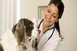 Állatorvosi ügyelet a hétvégén Pécsett és Baranyában