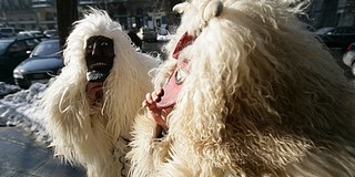 Új logóval riogathatnak februártól a mohácsi busók