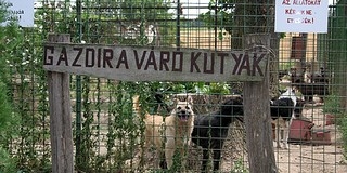 Feltörték a szervert, a Misina így a főnyeremény felét kapja majd Feltörték a szervert, a Misina így a főnyeremény felét kapja majd