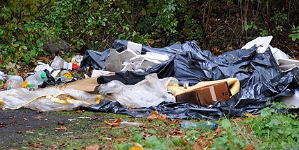 Továbbra is sok az illegális szemétlerakó, havonta 30 köbméter is összejön Pécsett Továbbra is sok az illegális szemétlerakó, havonta 30 köbméter is összejön Pécsett