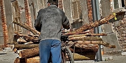 Hiába a több száz sorompó az erdei utakon, eladásra lopják a fát a Mecsekből Hiába a több száz sorompó az erdei utakon, eladásra lopják a fát a Mecsekből