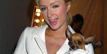 Budapestre látogat Paris Hilton? Budapestre látogat Paris Hilton?