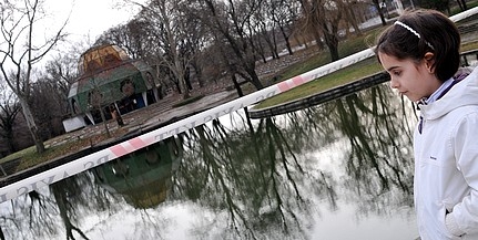 Tízmilliós támogatás jut a Balokány-liget megszépítésére Tízmilliós támogatás jut a Balokány-liget megszépítésére