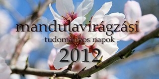Virágzásnak indul a mandula a pécsi egyetemen Virágzásnak indul a mandula a pécsi egyetemen