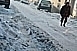 Hószerződés: nem tudnak mit kezdeni a BS-AXIS-sal Hószerződés: nem tudnak mit kezdeni a BS-AXIS-sal