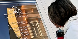 Közleménye szerint nyereséggel zárt tavaly a Tettye Forrásház Közleménye szerint nyereséggel zárt tavaly a Tettye Forrásház