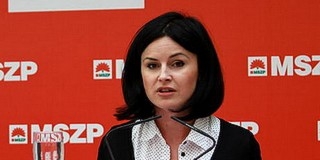 A szocik szerint Hoffmannak le kellene mondania