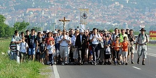 Százak vesznek részt a máriagyűdi zarándoklaton Százak vesznek részt a máriagyűdi zarándoklaton