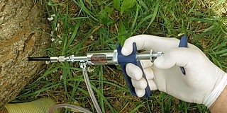 Új, innovatív növénykezelési eljárást alkalmaz a BIOKOM Új, innovatív növénykezelési eljárást alkalmaz a BIOKOM